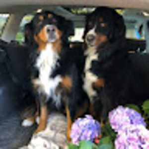 Meet your Posher, Sue